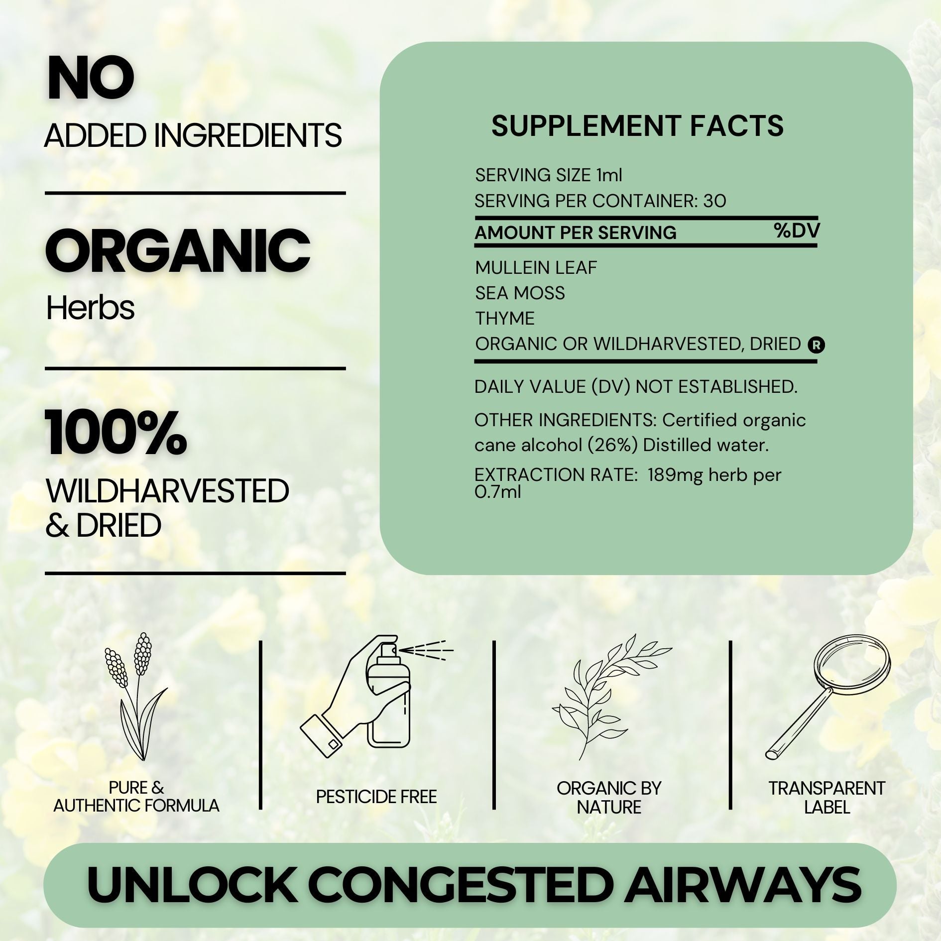 Respiratory Cleanser - Gr33n